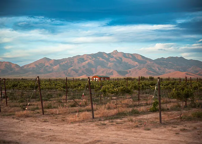 Casa Grande *